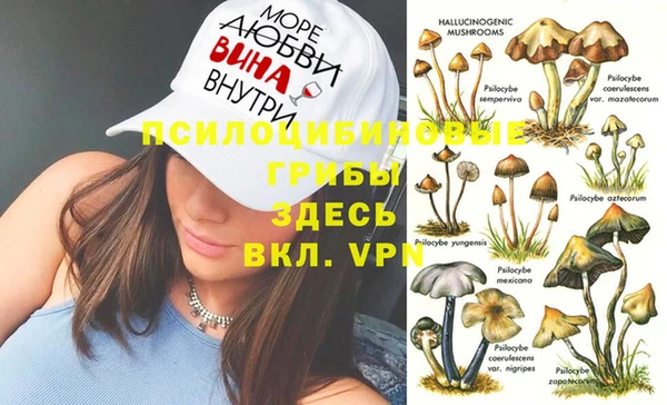 PSILOCYBIN Абинск
