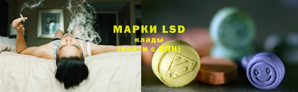 PSILOCYBIN Абинск