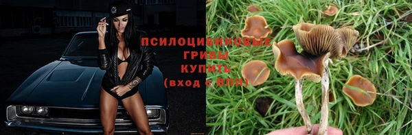 тгк Алексин