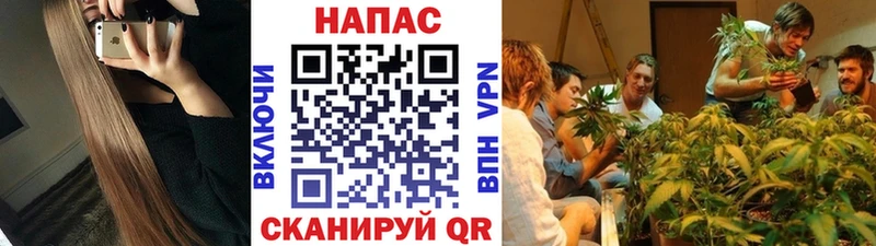 Шишки марихуана планчик Калининград