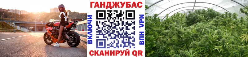 blacksprut ссылки  продажа наркотиков  Калининград  Конопля OG Kush 